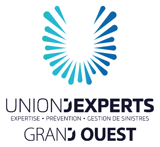 Union d'Experts